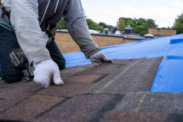Best Affordable Roofing Company  in White Pigeon, MI