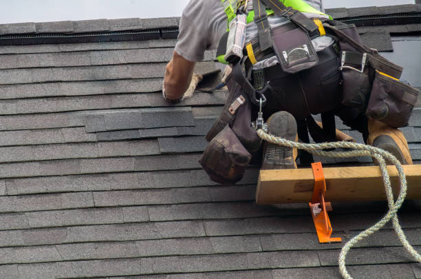 Best Shingle Roofing Installation  in White Pigeon, MI