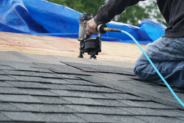 Best Roof Repair Services  in White Pigeon, MI