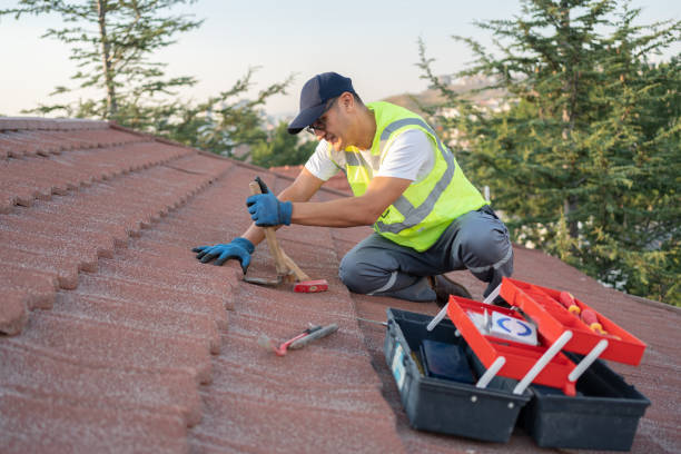 Best Roof Waterproofing Services  in White Pigeon, MI